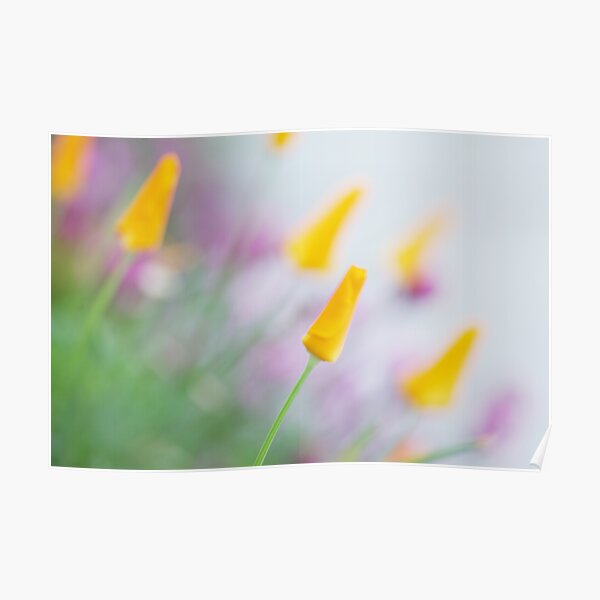 Springtime Wonder Poster