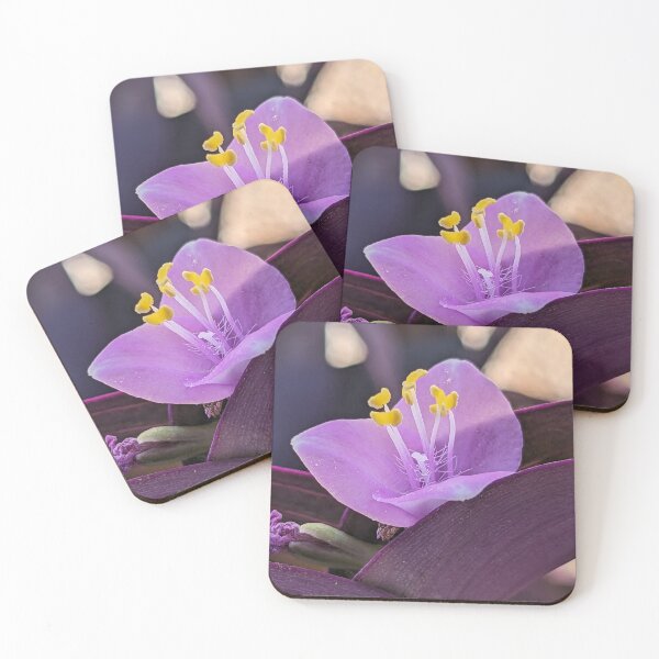 Item preview, Purple Heart- Tradescantia Zebrina designed and sold by Fatboy0699.