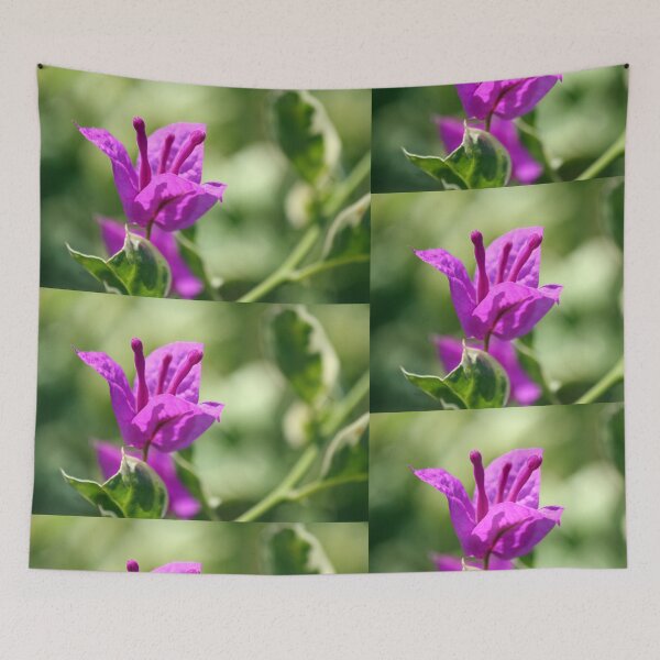 Item preview, Beau Beau Bougainvillea designed and sold by WalnutHill.