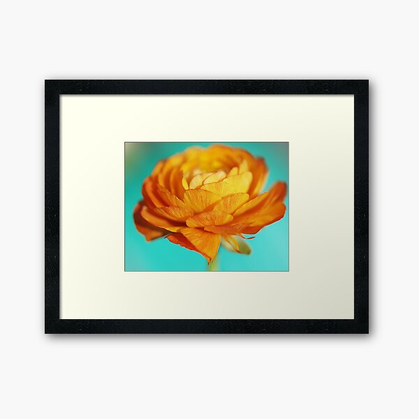 Simple Beauty Framed Art Print