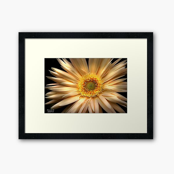 " Inside the Inner " Framed Art Print