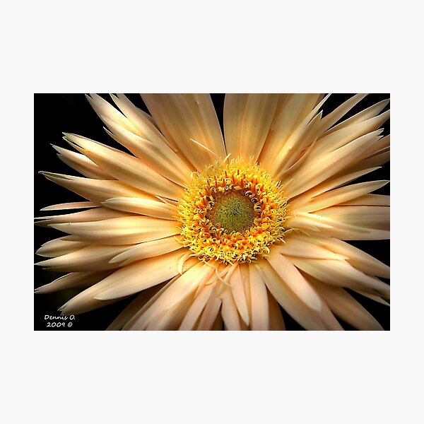 Item preview, " Inside the Inner " designed and sold by canonman99.
