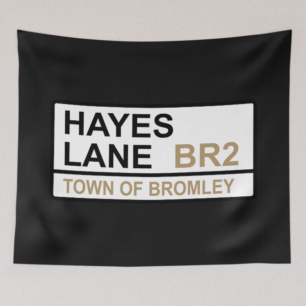 Item preview, Bromley Hayes Lane Iconic Street Sign designed and sold by DelfDesign.