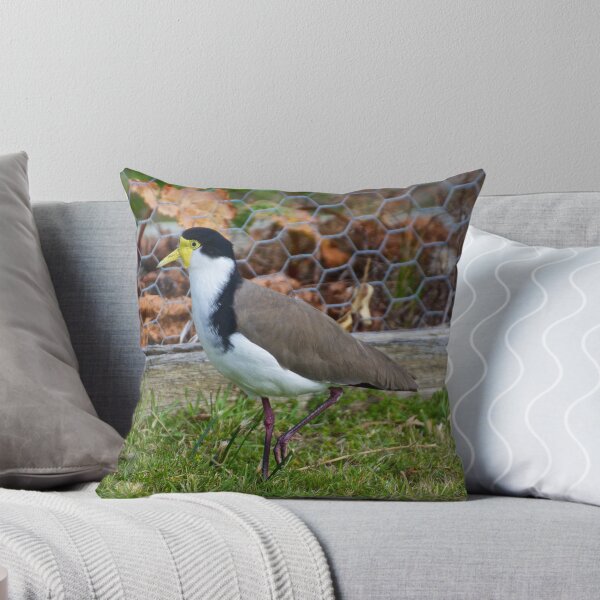 Item preview, LAPWING ~ Masked Lapwing ZW6ALFF4 by David Irwin designed and sold by tasmanianartist.