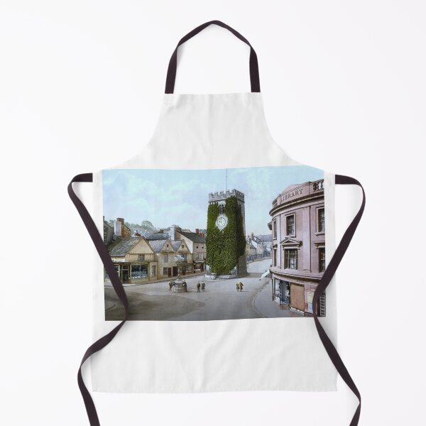 Item preview, Newton Abbot designed and sold by 19th Century in Color.