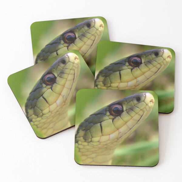 Item preview, The Snake In The Grass designed and sold by EugeJ.