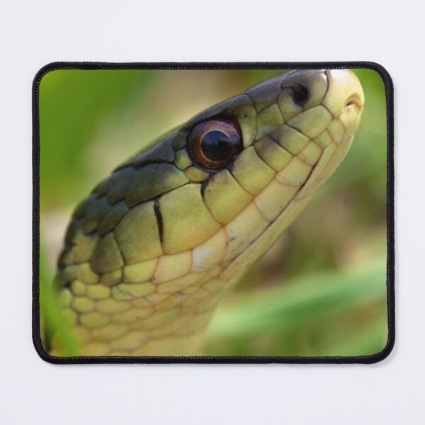 Item preview, The Snake In The Grass designed and sold by EugeJ.