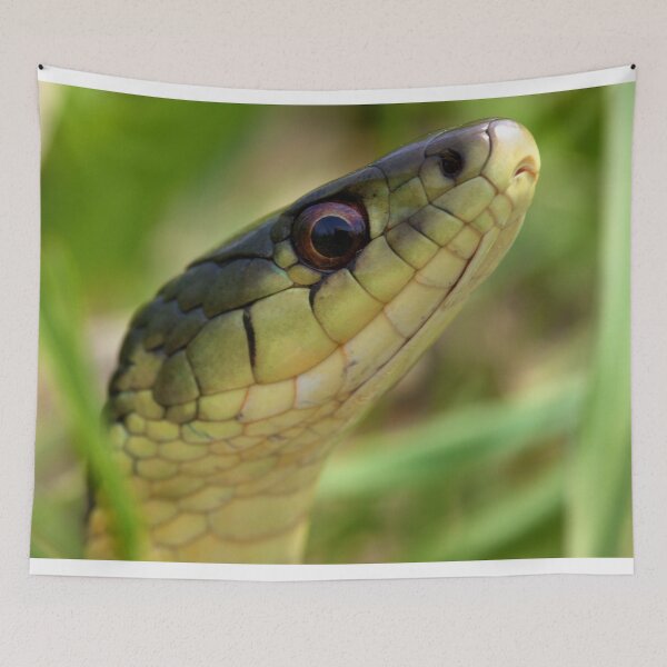 Item preview, The Snake In The Grass designed and sold by EugeJ.
