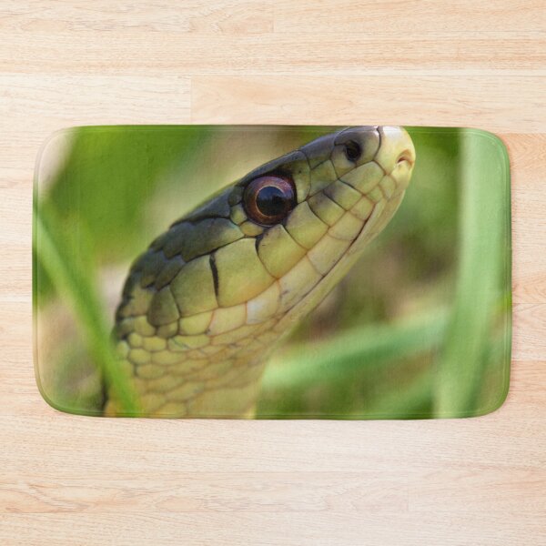 Item preview, The Snake In The Grass designed and sold by EugeJ.
