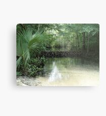 Beaver Dam and Pond on Econfina Creek Metal Print