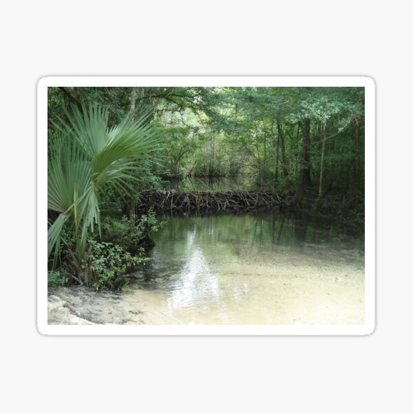 "Beaver Dam and Pond on Econfina Creek" Sticker for Sale by