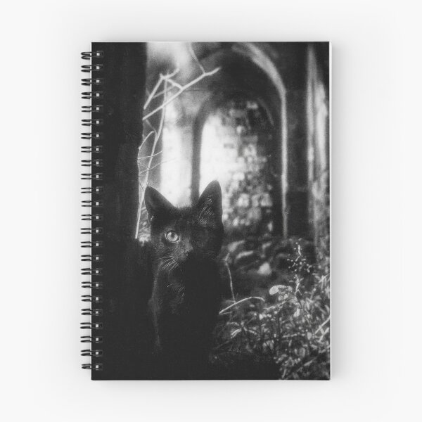 Item preview, Gothic Guardian designed and sold by View From The Grave.