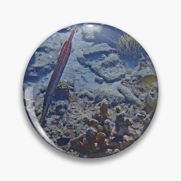 Item preview, Underwater - Trumpet Fish by Wagonesta  designed and sold by Wagonesta.