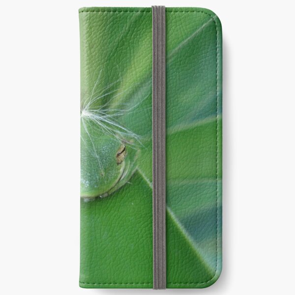 Einstein's Wiglet iPhone Wallet