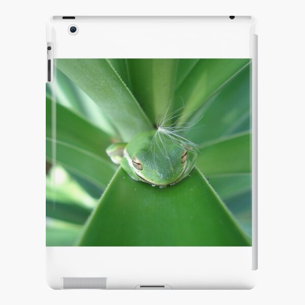 Einstein's Wiglet iPad Snap Case