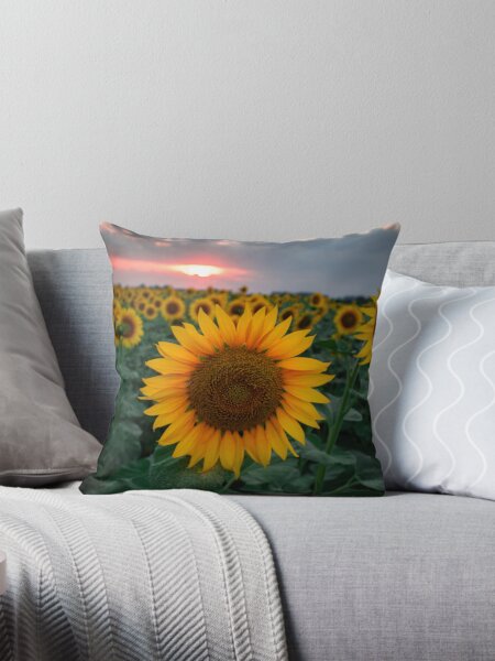 Item preview, Sunflower designed and sold by RedeyePhoto.