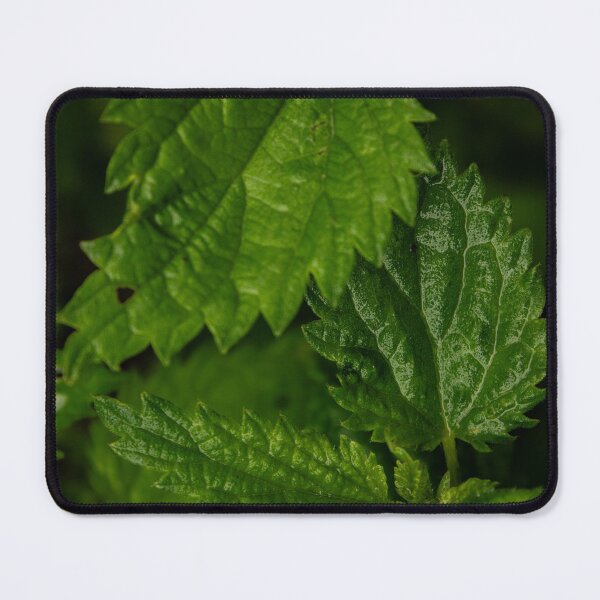 Item preview, Nettle plant designed and sold by RedeyePhoto.