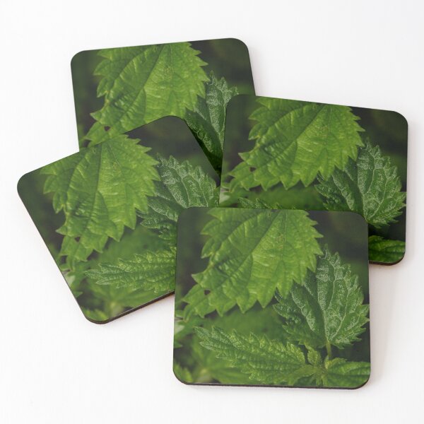 Item preview, Nettle plant designed and sold by RedeyePhoto.