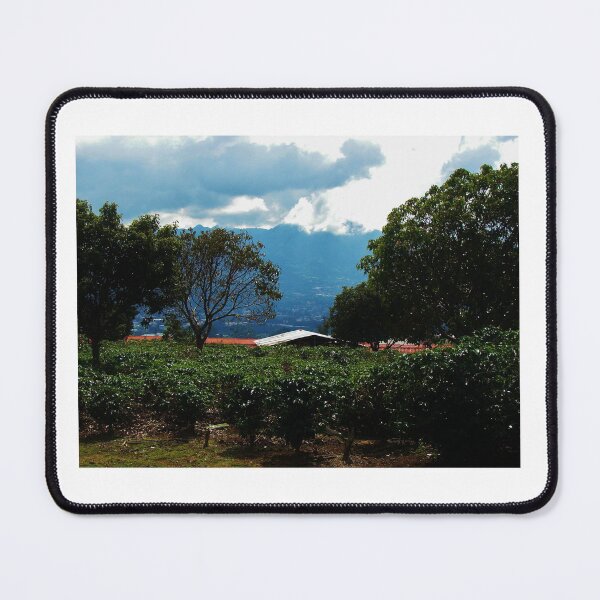 Item preview, Cafetales, Heredia, Costa Rica (Coffee Plantations) designed and sold by The Cat Down the Road.