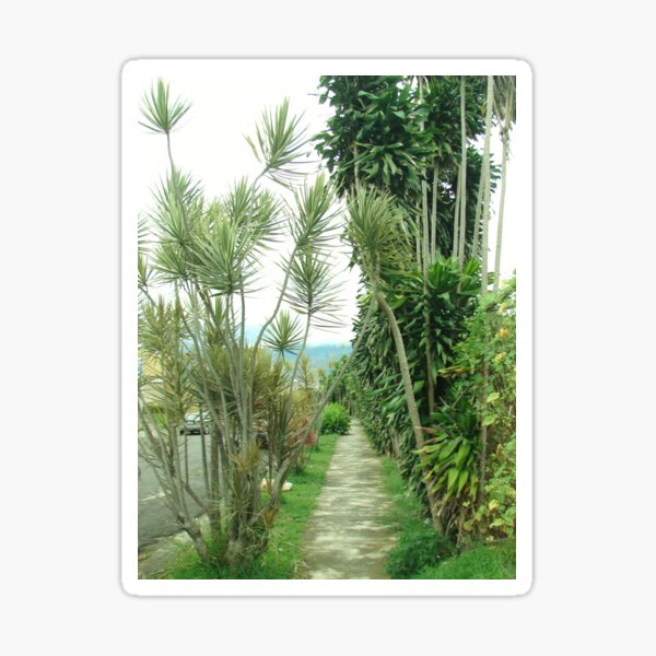 Item preview, Path Downhill, Heredia, Costa Rica designed and sold by The Cat Down the Road.