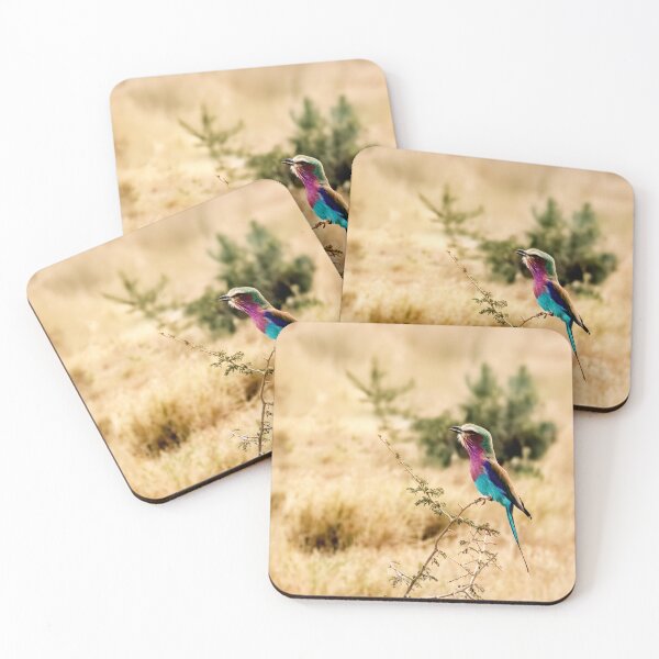 Item preview, A Lilac Breasted Roller Sings designed and sold by Kay Brewer.