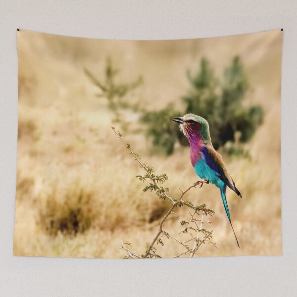 Item preview, A Lilac Breasted Roller Sings designed and sold by Kay Brewer.