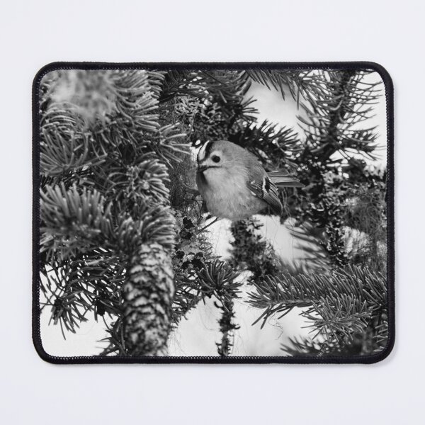 Item preview, Goldcrest the tiny bw designed and sold by Jouko Lehto Photography.