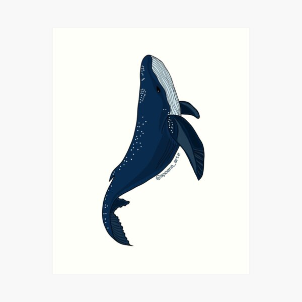 Item preview, Baleia Azul (Blue Whale) designed and sold by ApoenaArt.