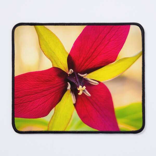 Item preview, Red Trillium 6 designed and sold by Robert Alsop.