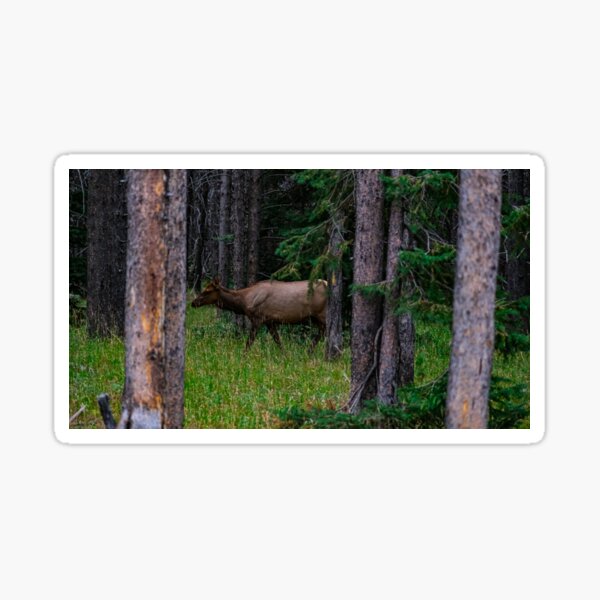 Item preview, Elk Sneaking in The Trees designed and sold by Gnomadic Gnomes Productions.
