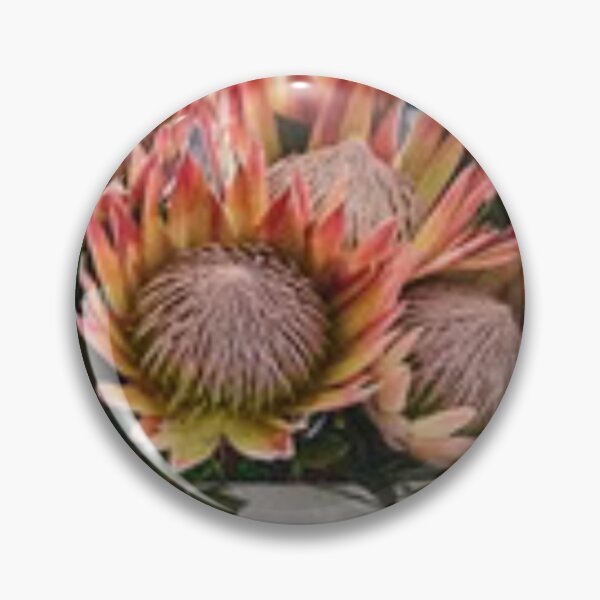 Item preview, GIANT KING PROTEA BURNT ORANGE FLOWER VASE designed and sold by Shelbineshop.
