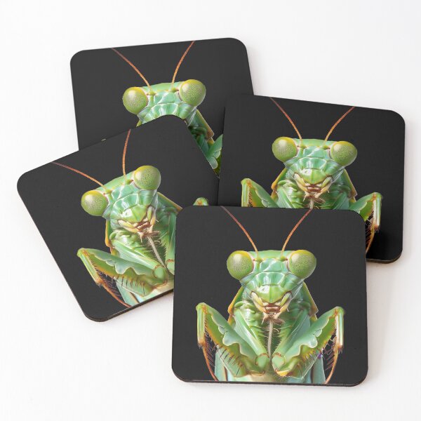 Item preview, Green Praying Mantis, Eerie Insect Art designed and sold by Phat Dog Designs .