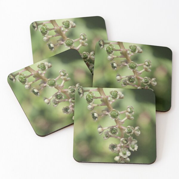 Item preview, Pokeweed Flower Buds designed and sold by WolfNoodles.