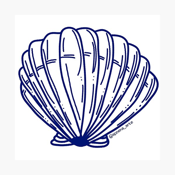 Item preview, Concha (Shell) designed and sold by ApoenaArt.