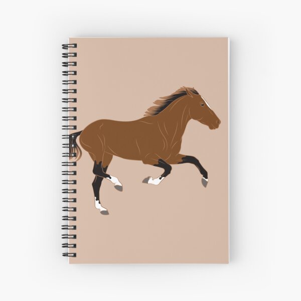 Aperçu de l'œuvre Cheval Afghan, cheval bai, cheval de selle, races de chevaux de l'Afghanistan créée et vendue par WebEquitation®.