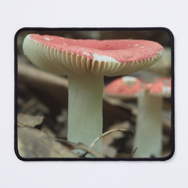 Item preview, Russula Mushroom Pair designed and sold by WolfNoodles.