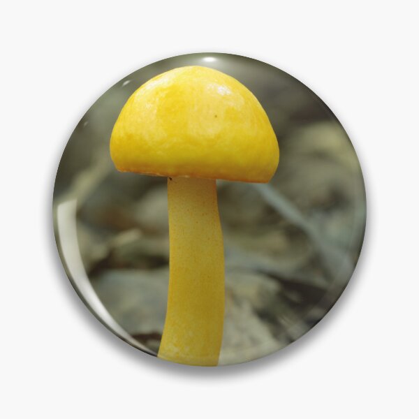 Item preview, Egg Bolete designed and sold by WolfNoodles.