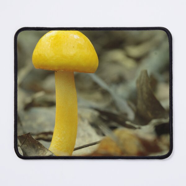 Item preview, Egg Bolete designed and sold by WolfNoodles.