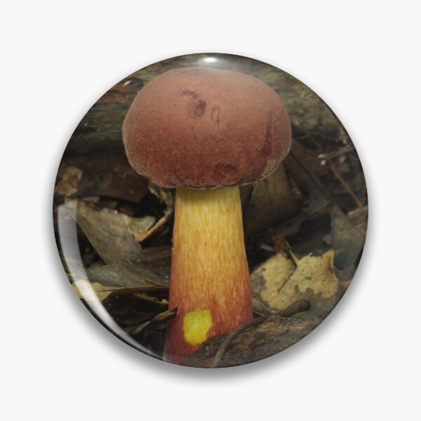 Item preview, Red and Yellow Bolete Mushroom with Bite designed and sold by WolfNoodles.