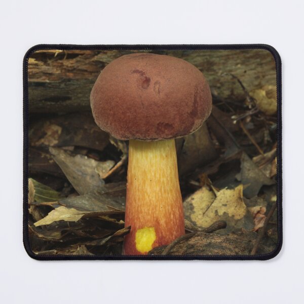 Item preview, Red and Yellow Bolete Mushroom with Bite designed and sold by WolfNoodles.