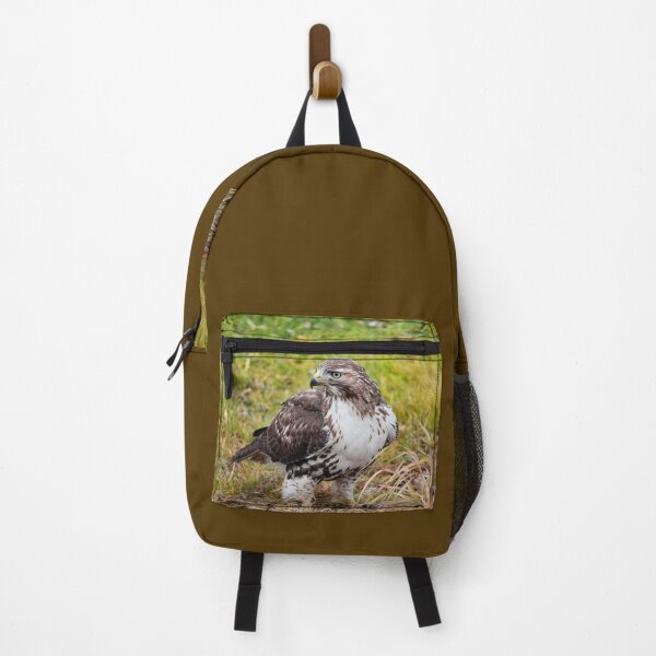 Item preview, Watchful Red Tailed Hawk designed and sold by Maria Keady.