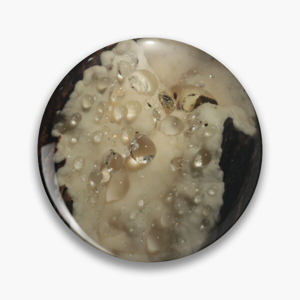 Item preview, Guttation Droplets on Fungus Crust designed and sold by WolfNoodles.