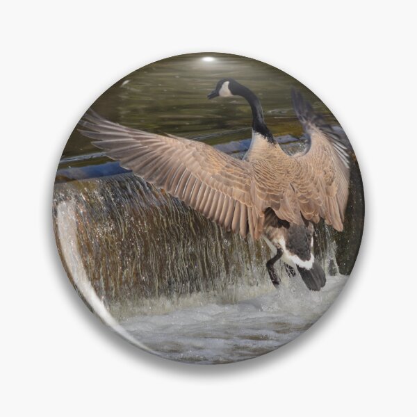 Item preview, Short Flight Take Off designed and sold by Maria Keady.