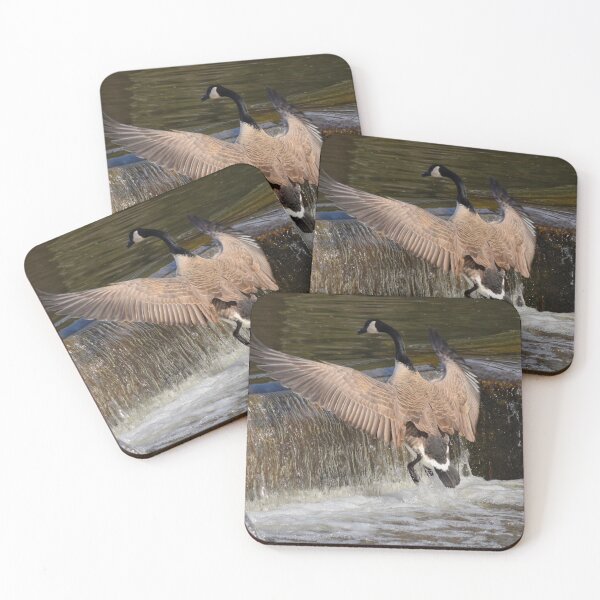 Item preview, Short Flight Take Off designed and sold by Maria Keady.