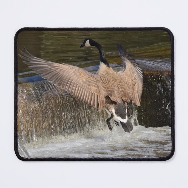 Item preview, Short Flight Take Off designed and sold by Maria Keady.