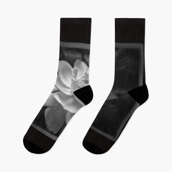 Item preview, Gardenia in Black and White designed and sold by Maria Keady.