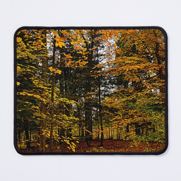 Item preview, Thru the Trees designed and sold by Maria Keady.