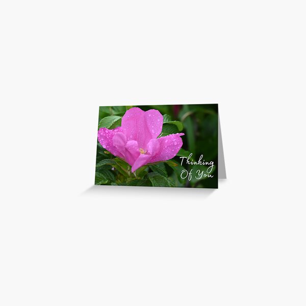 Wild Rose - Nature's Heart - Thinking of You Greeting Card