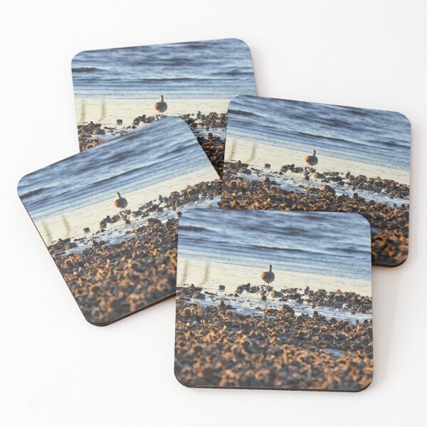 Item preview, Marbled Godwit Amongst Oysters designed and sold by ShipwreckedArt.