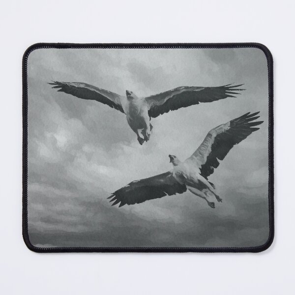 Item preview, Australian Native Birds - White-bellied Sea-Eagles black and white watercolour designed and sold by Ozjanette90.
